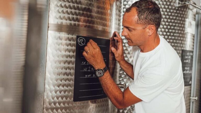 Greve in Chianti: Tour and tasting of organic Chianti Classico and Tuscan snacks - The Tasting Experience