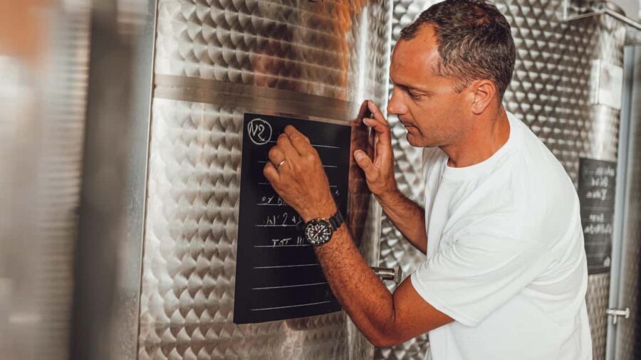 Greve in Chianti: Tour and tasting of organic Chianti Classico and Tuscan snacks - The Tasting Experience