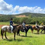 Grimaud: Horseback Riding & Wine Tasting in Maures Forest - The Itinerary in Detail