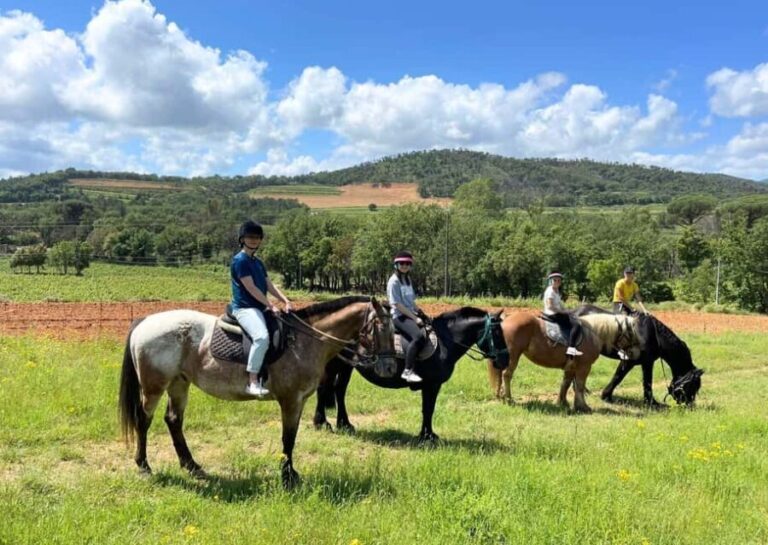 Grimaud: Horseback Riding & Wine Tasting in Maures Forest - The Itinerary in Detail