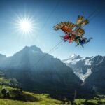 Grindelwald Gondola Ride to Mount First - The Ride Up: What to Expect