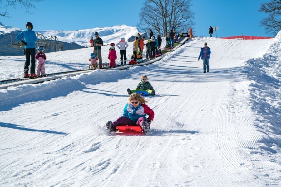 Grindelwald: Sledding and Tubing in Bodmi Arena - Why Choose Bodmi Arena?