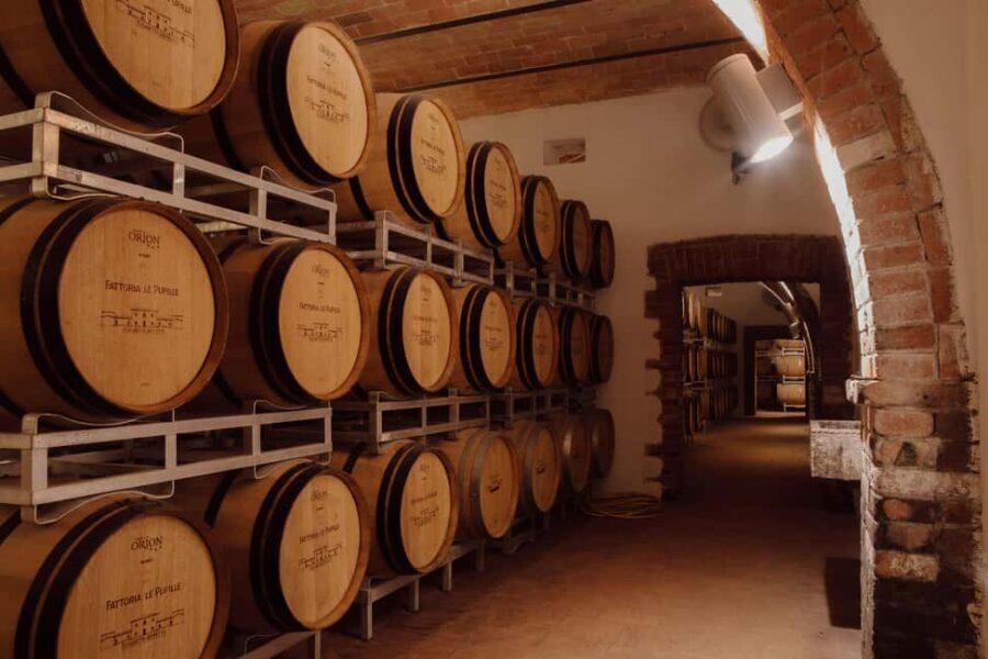Grosseto: "Sentiero di Morellino" Tasting and Winery Tour - Exploring the Experience in Detail