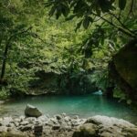 Group Hiking Tour in Mtirala National Park - Real Traveler Insights