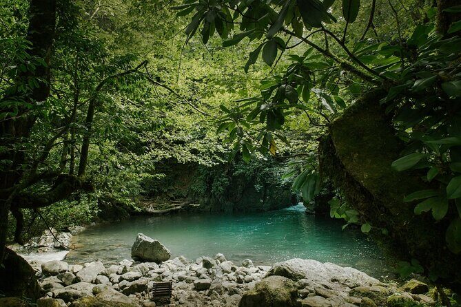 Group Hiking Tour in Mtirala National Park - Real Traveler Insights