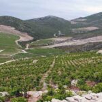 Group Tour From Dubrovnik: Ston and Peljesac Wineries Tour - Authentic Experiences and Traveler Feedback