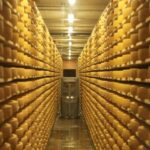Gruyères, Cheese Factory & Maison Cailler Day Trip from Bern - What This Tour Means for You