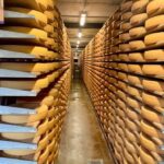 Gruyères & Lavaux Vineyard with Cheese & Wine | From Bern - What We Love About the Tour