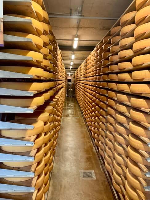 Gruyères & Lavaux Vineyard with Cheese & Wine | From Bern - What We Love About the Tour