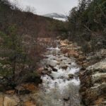 Guadarrama National Park from Madrid - Who Will Love This Tour?