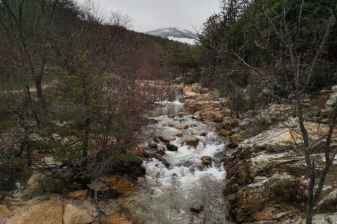 Guadarrama National Park from Madrid - Who Will Love This Tour?