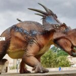 Gubbio Christmas Train and Three Museums Family Package - Who Would Love This Tour?