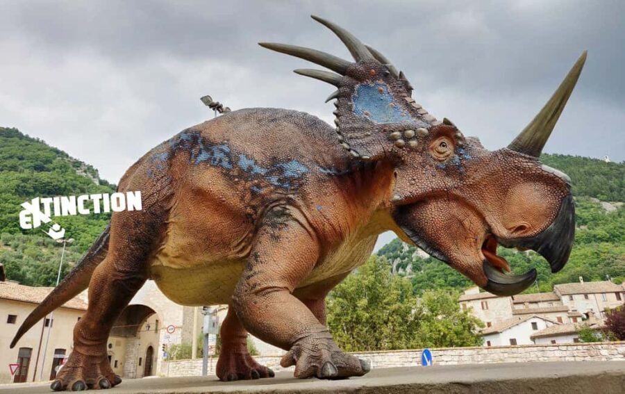 Gubbio Christmas Train and Three Museums Family Package - Who Would Love This Tour?