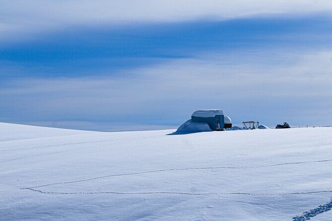 Gudauri Adventures - One Day Private Tour to Gudauri Ski Resort - Analyzing the Price and Overall Value