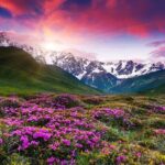 Gudauri-Jinvali-Ananuri Private tour - From a Traveler’s Perspective: What People Say