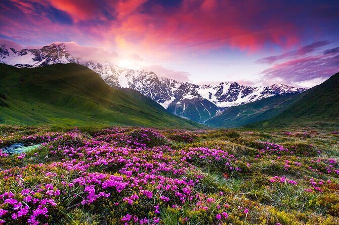 Gudauri-Jinvali-Ananuri Private tour - From a Traveler’s Perspective: What People Say