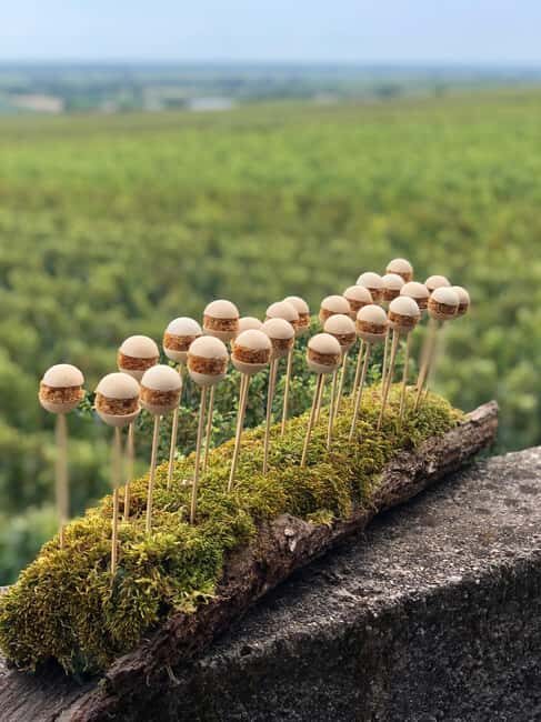 Gueberschwihr: oenology class and tasting of 12 wines and 5 appetizers - What Travelers Say