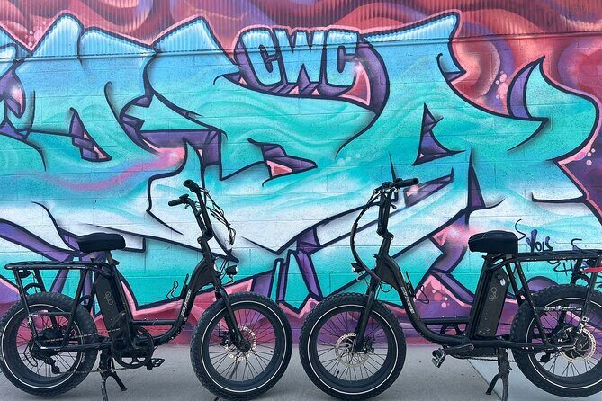 Guided Asheville E-bike Tour of River Arts, Mountains and Murals - The Practicalities