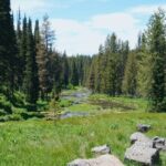 Guided ATV Tours and Explore Hidden Gems in the Yellowstone area - Why People Love It: Real Insights from Reviews