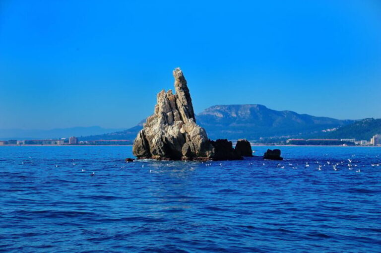 Guided Boat Tour to Medes Islands & Roca Foradada with Swim - The Practical Details