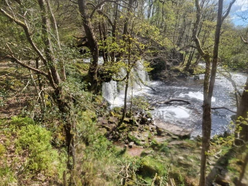 Guided Breacon Beacons 4 waterfalls in day hike from Cardiff - The Value and Who It’s For