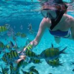Guided by Divemaster, Cabo San Lucas short Snorkeling Tour MANTA - Value for Money