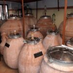 Guided Cycle Tourism Wine Tour by E-Bike on the Island of Elba "Arrighi" - What We Think About the Experience