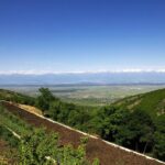 Guided Day Tour From Tbilisi Kakheti and Sighnaghi with Wine - Authentic Traveler Insights