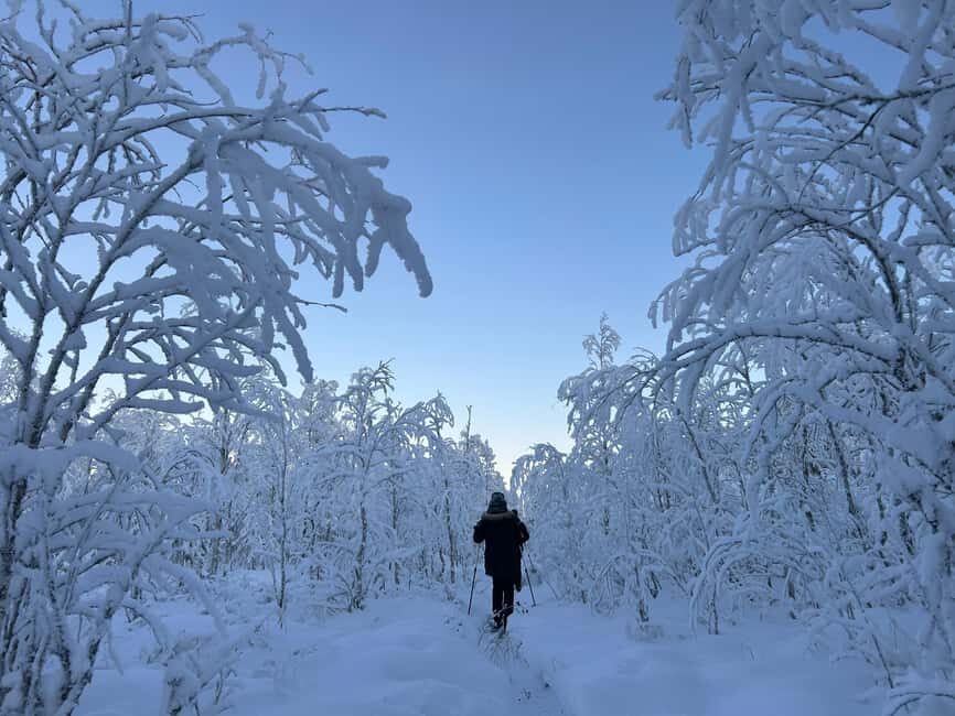 Guided Daytime Ski Adventure: Private Trails by Rovaniemi - Wrapping It Up