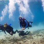 Guided dive for certified divers - Authentic Reviews and Insights