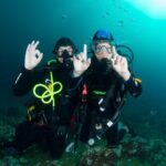 Guided diving for beginners without certification from Sorrento - Is This Tour Worth the Price?