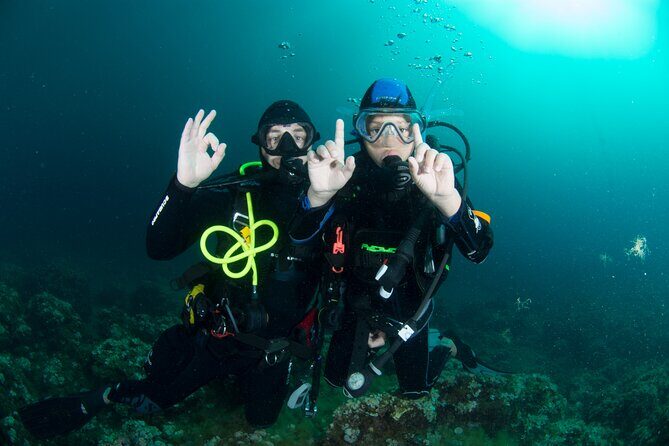 Guided diving for beginners without certification from Sorrento - Is This Tour Worth the Price?