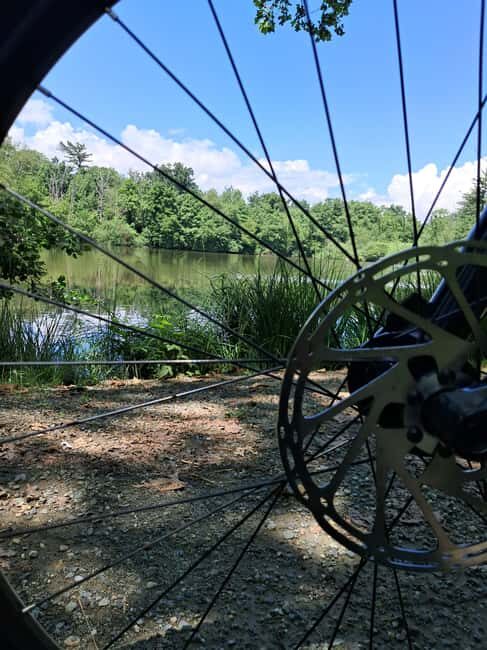 Guided E-Bike Tour in the Mandria Park - Wellness Activities in the Heart of Nature