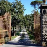 Guided E-Bike Tour with Wine Tasting from Lucca - The Practical Details