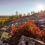 Guided easy hike in Finland deepest gorge in Pyhä-Luosto National Park - Who Will Love This Tour?