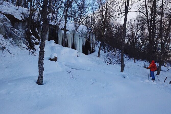 Guided easy snowshoeing with a visit to local café - Itinerary Breakdown