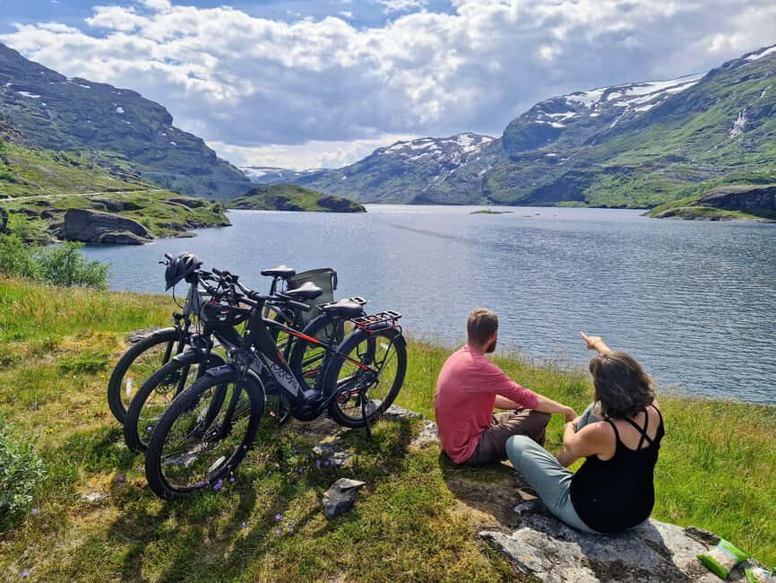 Guided, electric bicycle tour from Vatnahalsen (near Flam) - Why We Think This Tour Works Well