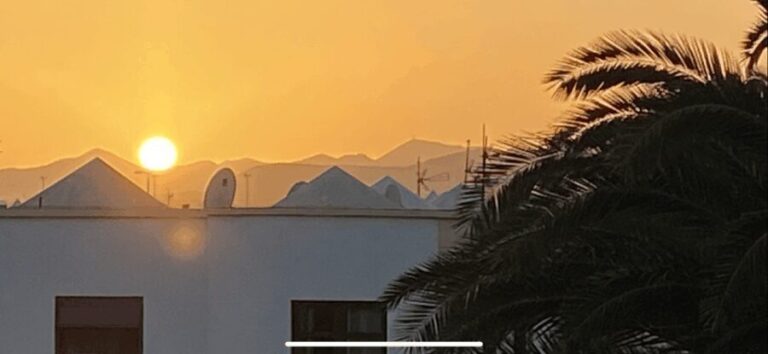 Guided excursion to the hometown of Cesar Manrique Haria Lanzarote - Key Points