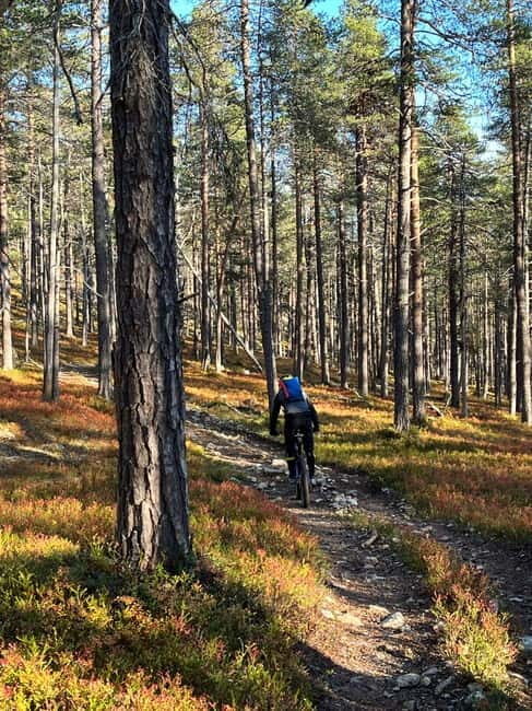 Guided Fatbike Tour in Ivalo - Discovering Ivalo by Fatbike: What You Can Expect