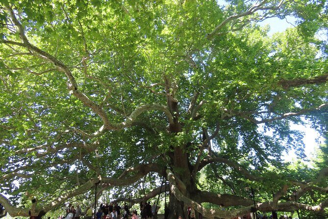 Guided Green Bursa Tour with Cable Car From Istanbul to Uludag - The Return Journey and Overall Duration