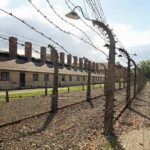 Guided Group Tour to Auschwitz-Birkenau from Krakow - The Logistics and Practicalities