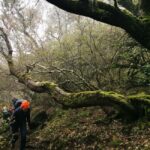 Guided Hike in Madeira - What Travelers Say