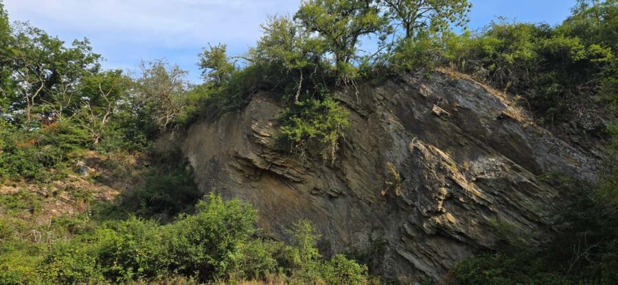 Guided hike on the "Hasenkammer" dream loop - Practical Details: What You Need to Know