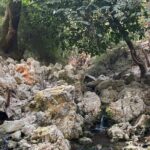 Guided hike to the seven springs from Archangelos - Frequently Asked Questions