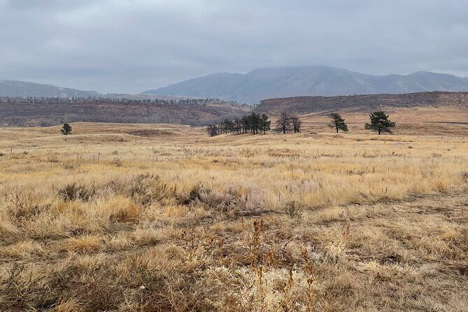 Guided Hiking Tours near Fort Collins - What’s Included and What to Keep in Mind