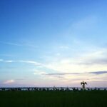 Guided Historical Bus and Boat Cruise Tour in Beaufort - The Experience in Action