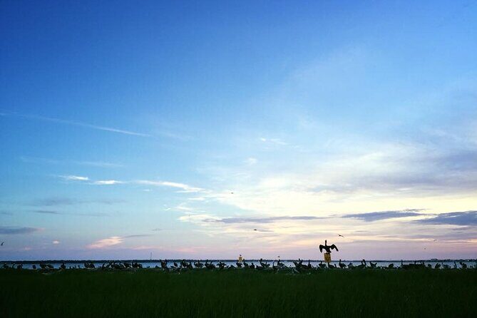 Guided Historical Bus and Boat Cruise Tour in Beaufort - The Experience in Action