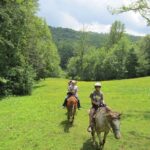 Guided Horseback Ride through Flame Azalea and Fern Forest - FAQs