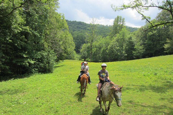 Guided Horseback Ride through Flame Azalea and Fern Forest - FAQs