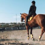 Guided Horseback Riding Adventure at Banya - The Details: What You Should Know